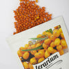 TERARIUM MONTE CATINA ECO 600GR