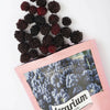 TERARIUM MONTE MURE 600GR