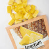 TERARIUM EXOTICA ANANAS 600GR