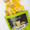 TERARIUM EXOTICA MIX DE FRUCTE SMOOTHIE 600GR