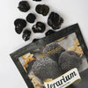 TERARIUM FORESTA TRUFE 250GR
