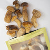 TERARIUM FORESTA HRIBI INTREGI  600G
