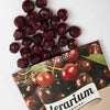 TERARIUM GARDENA VISINE 600GR