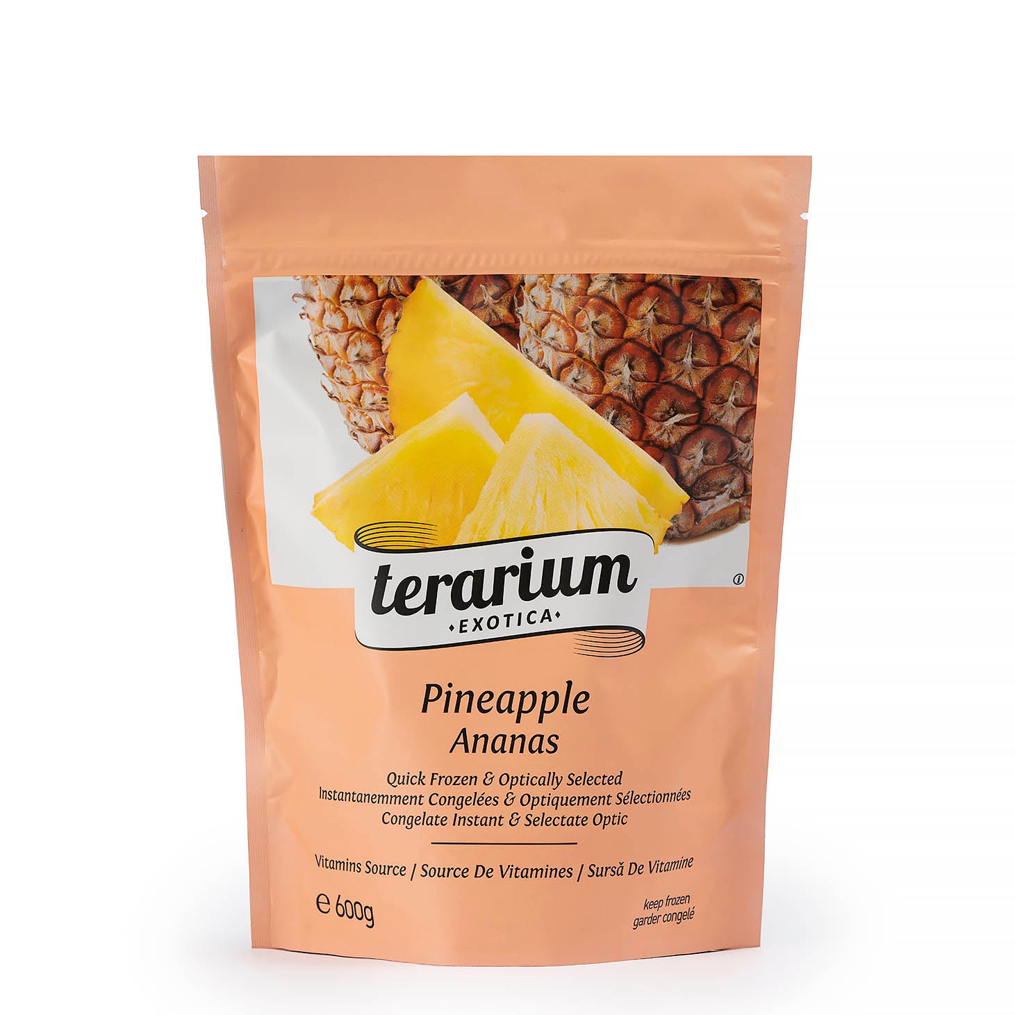 TERARIUM EXOTICA ANANAS 600GR